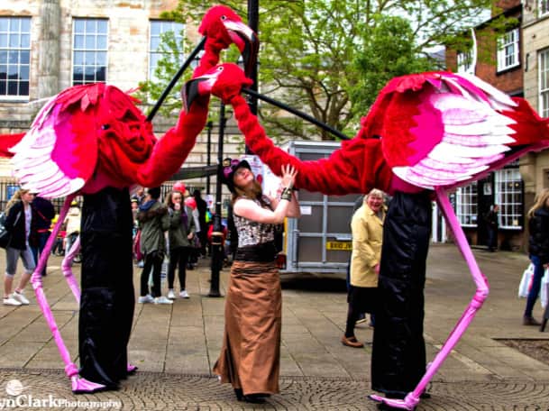 Flamingos by Fools Paradise. Photo: Robyn Clark Photography