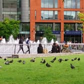 Piccadilly Gardens in Manchester could go smoke free 