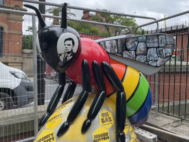 A rainbow-coloured bee as Manchester celebrates Pride weekend. Photo: Jessica Hay