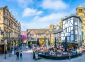 Local election candidates have been quizzed on their green policies and views. Credit: Shutterstock