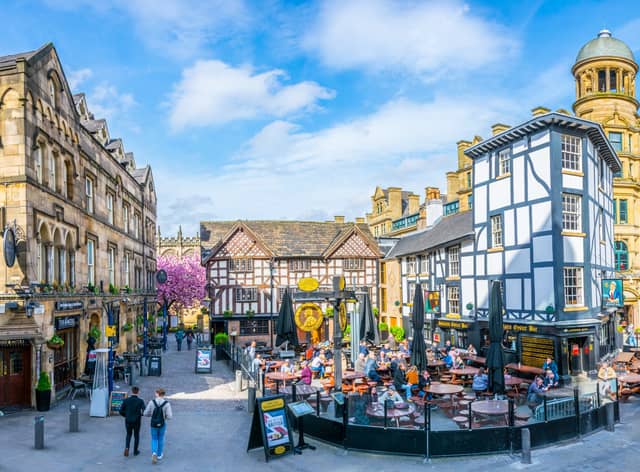 Local election candidates have been quizzed on their green policies and views. Credit: Shutterstock