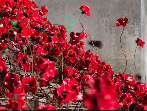 The iconic poppy sculptures are coming back to Manchester for a new artwork. Photo: IWM