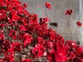 The iconic poppy sculptures are coming back to Manchester for a new artwork. Photo: IWM