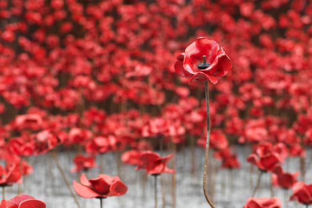 The iconic poppy sculptures are going on permanent display in Manchester. Photo: IWM