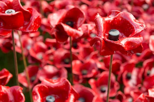 The poppy sculptures are going on permanent display at the Imperial War Museum North. Photo: IWM