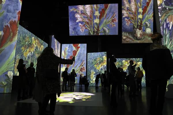 ‘Van Gogh Alive’ previously featured at Birmingham Hippodrome Credit: Anita Maric / SWNS