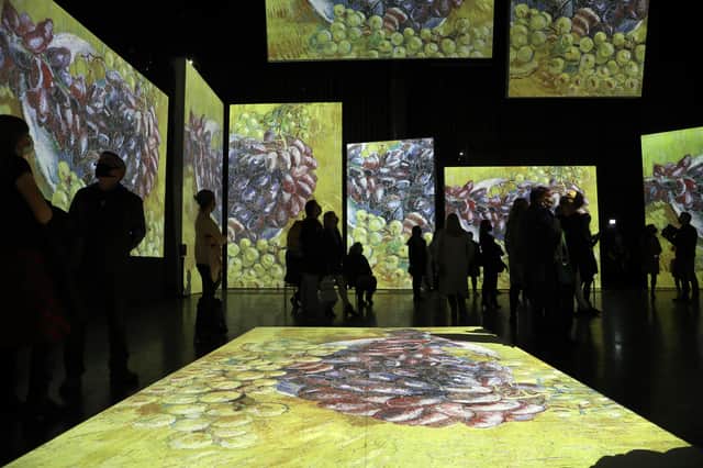 ‘Van Gogh Alive’ Credit: Anita Maric / SWNS