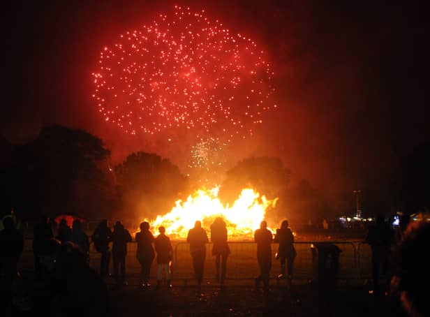 <p>Bonfire and fireworks display Credit: Iain Lynn</p>