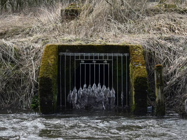 Sewage being discharged into rivers has been identified as a major problem in Manchester. Photo: The Rivers Trust