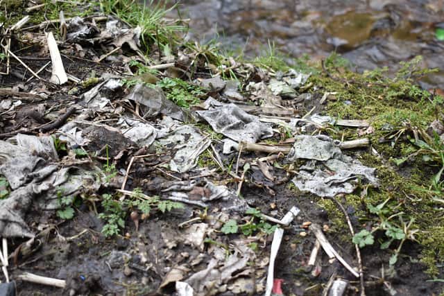 Sewage on the River Roach in Bury. Photo: The Rivers Trust