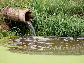 MPs voted on the discharge of raw sewage into rivers and seas (Photo: Shutterstock)