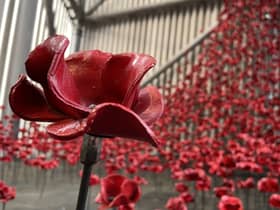 ‘Poppies’ sculpture goes on permanent displays at Imperial War Museum North