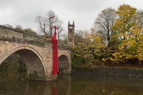 Waterfall of poppies made from plastic bottles in Stoneclough