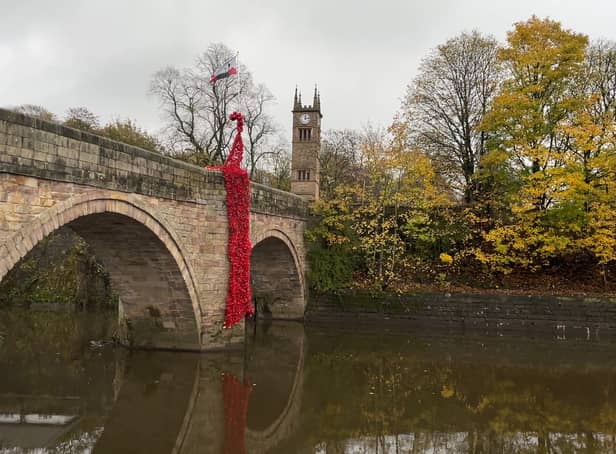 <p>Waterfall of poppies made from plastic bottles in Stoneclough</p>