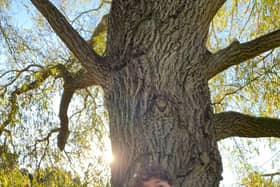 Esme Finch, 26, started her Instagram page Environ-mental Matters at the beginning of 2019