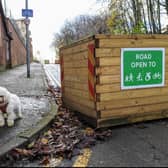 An example of a planter elsewhere in the Trinity and Islington active neighbourhood. Photo: Harriet Larrington-Spencer