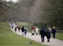 People going for a walk at Dunham Massey, Greater Manchester’s . Photo: Christopher Furlong/Getty Images