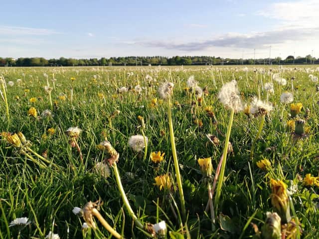 Hough End Fields