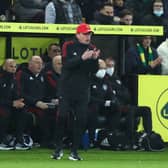 Manchester United Manager Ralf Rangnick is adding to his coaching staff Credit: Getty