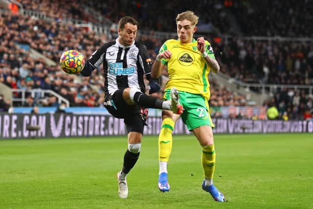 Brandon Williams is at Norwich City  Credit: Getty