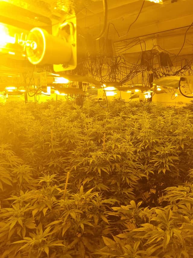 Cannabis farm on Century Street, Manchester Credit: GMP