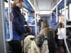 Clean Air Zone: sheep is taken on bus in protest against Greater Manchester environmental scheme