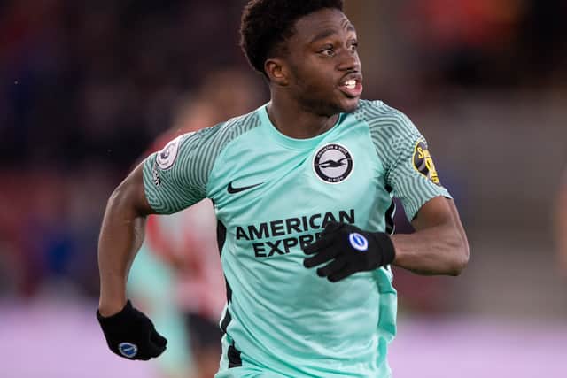 Tariq Lamptey of Brighton & Hove Albion Credit: Getty/Visionhaus
