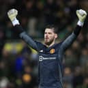 David De Gea has equalled United’s record number of clean sheets and moved to 13th in the all-time appearance rankings. Credit: Getty. 