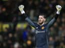 David De Gea has equalled United’s record number of clean sheets and moved to 13th in the all-time appearance rankings. Credit: Getty. 