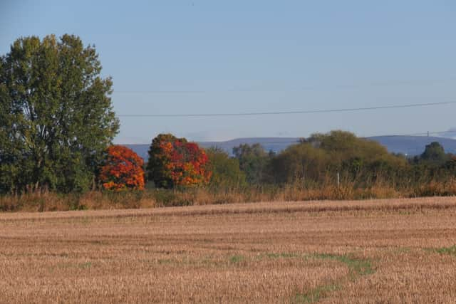 Carrington Moss. Photo: Friends of Carrington Moss