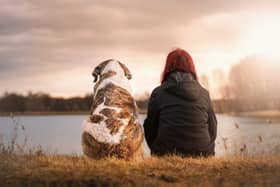 Could one of these dogs be your new best friend? 