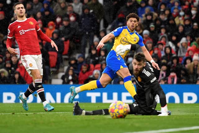 Che Adams equalised in the second half. Credit: Getty.