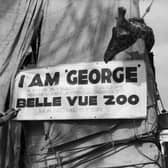 George the Giraffe en route to Belle Vue Credit: Getty 