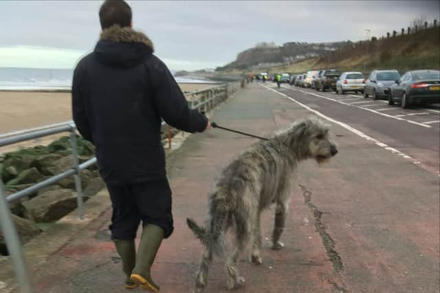 Murphy out for a walk