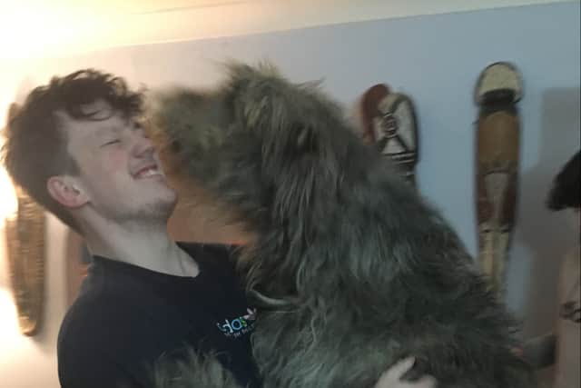 Murphy giving a typical Irish wolfhound greeting