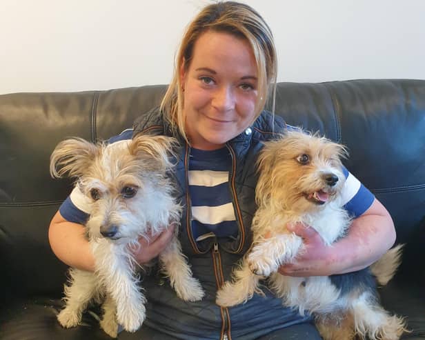 Owner Katie is reunited with Mopsy and Scrappy Credit: GMP