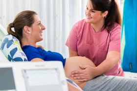 Some midwives have left the profession, a meeting heard Credit: Kzenon - stock.adobe.com/ posed by models