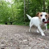 Greater Manchester Walking Festival 