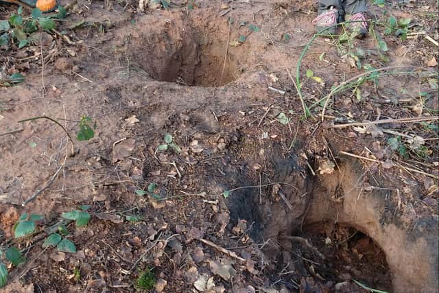Volunteers from the badger group find a damaged sett