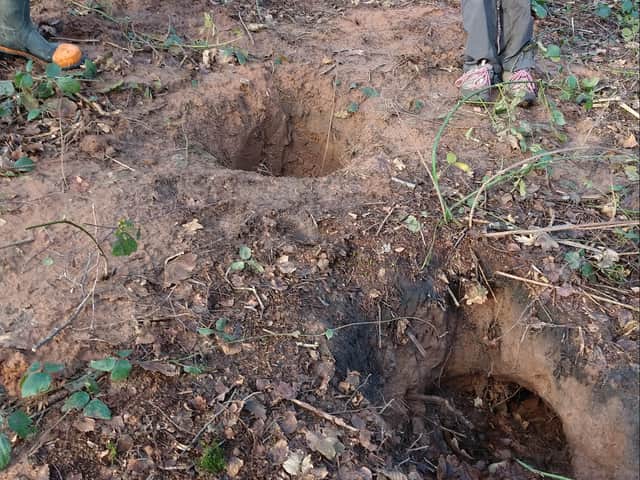 Volunteers from the badger group find a damaged sett