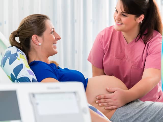 Midwifes face pressures on staff levels Credit: Kzenon - stock.adobe.com