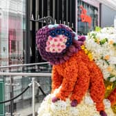 Manchester Flower Show