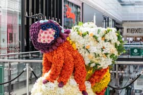 Manchester Flower Show