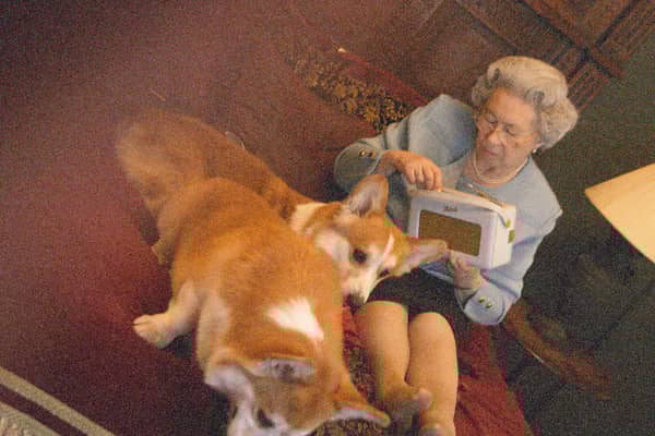 Photographer Alison Jackson captures lookalike Queen enjoying some time at home.