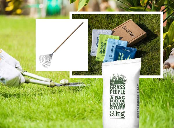 Everything you need to maintain your lawn throughout the year