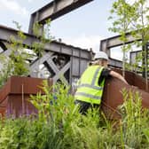 Planting work is under way at Castlefield Viaduct to transform it into a green urban sky park. Photo: Annapurna Mellor/National Trust Images