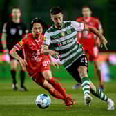 Gonçalo Inácio