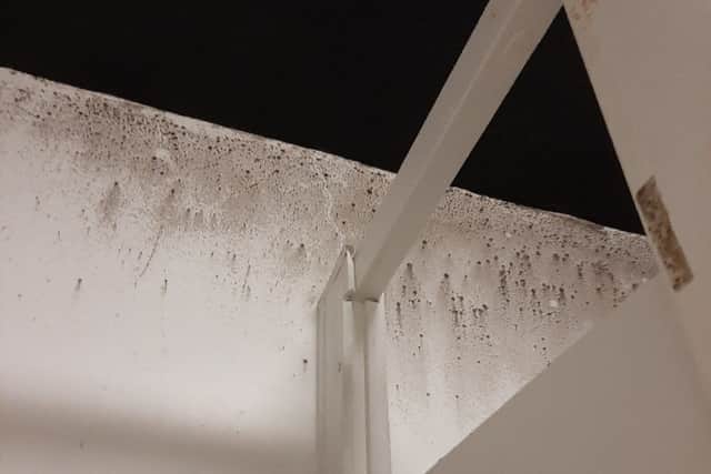 There were problems with damp and mould at properties in Crumpsall inspected under the scheme. Photo: Manchester City Council