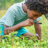 Elizabeth Gaskell’s House is putting on a garden trail for children. Photo: AdobeStock