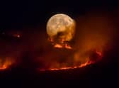 Wildfires burning between Dovestones and Buckton Vale in 2018. Photo: Anthony Devlin/Getty Images